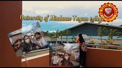 umtc courses offered|University of Mindanao Tagum (UMTC) .